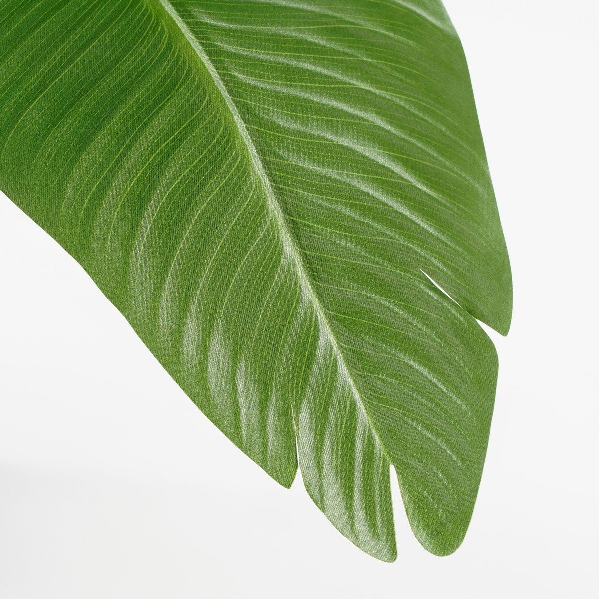 Kunstplant Groen