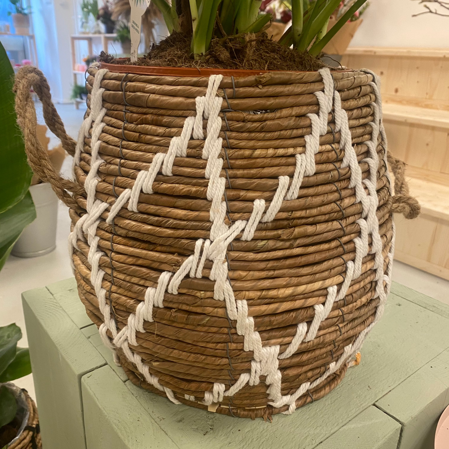 Basket stitch white