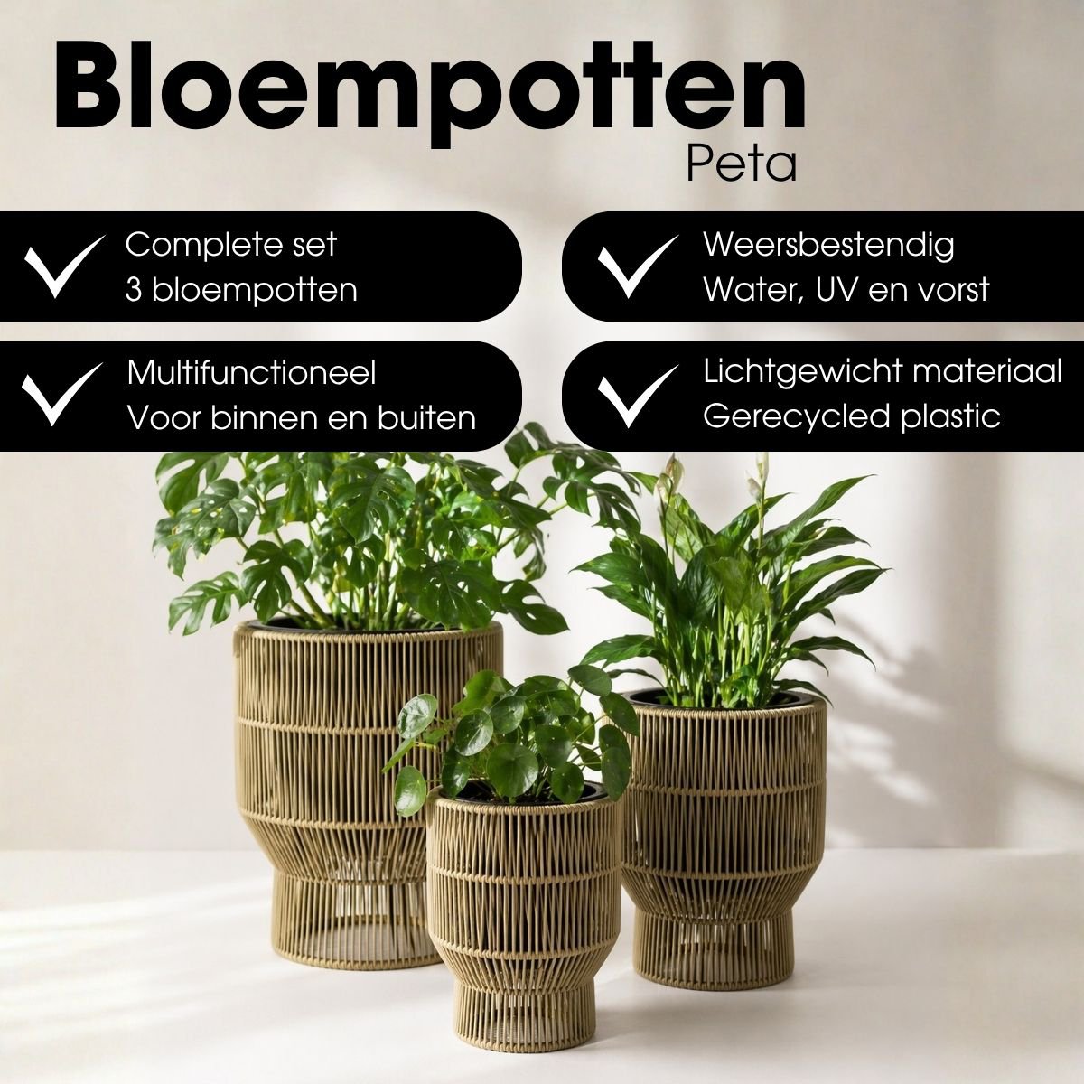 Bloempot buiten Peta Groen