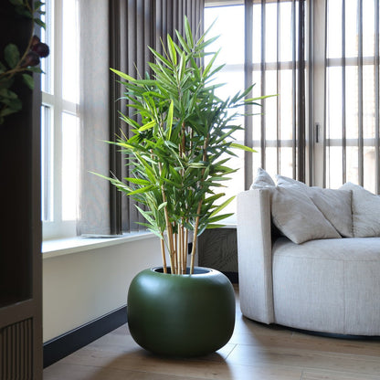 Plantenpot - Phuket green