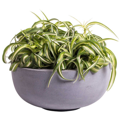 Plantenpot - Ducos S grey (set van 2 stuks)