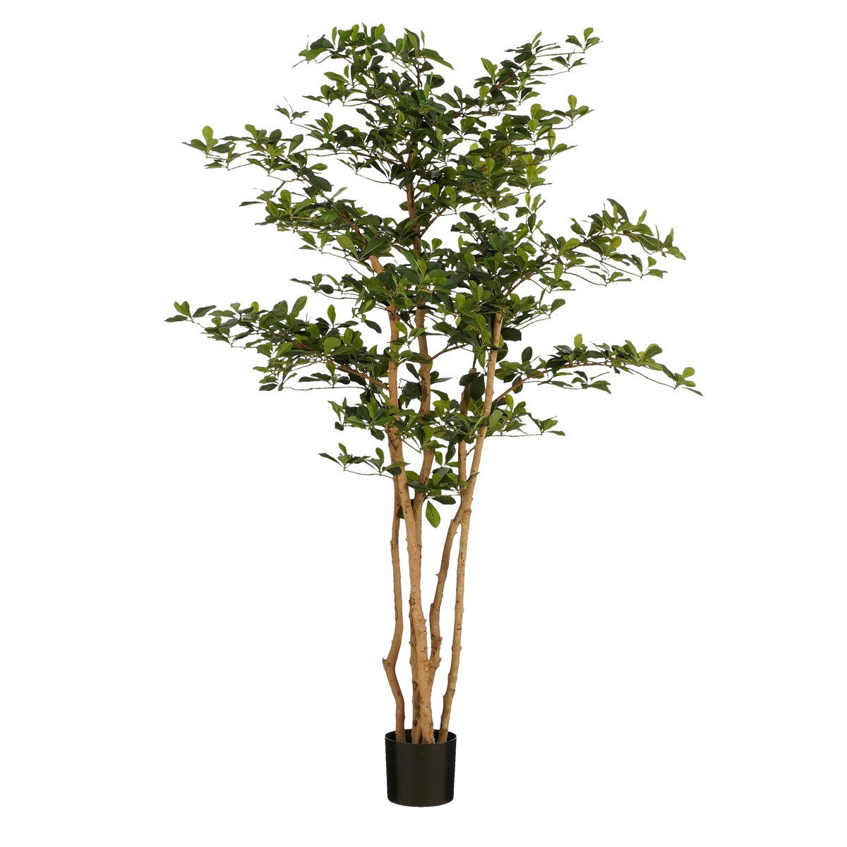 Kunstplant  Groen