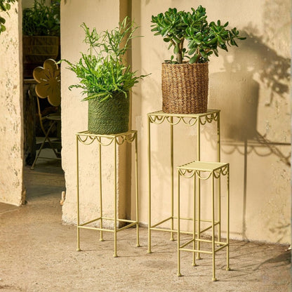 Plantentafel Rosalie Lichtgroen