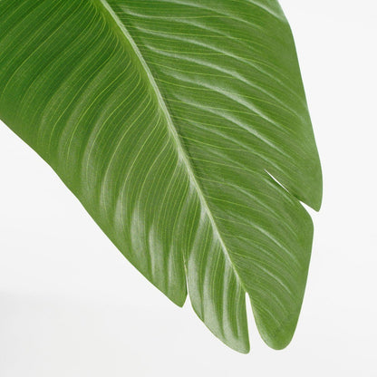Kunstplant  Groen