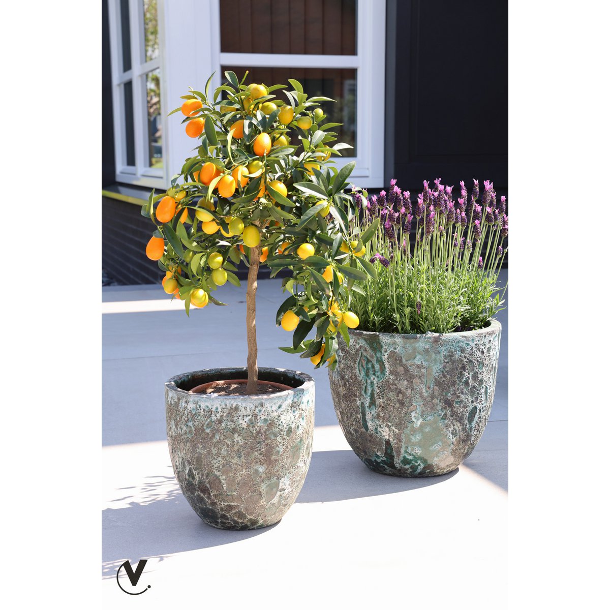 Plantenpot - Laki relic jade set Ø36/25 x H34/25 cm - (set van 2 stuks)