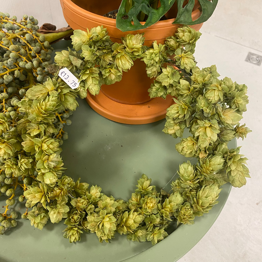 Hopkrans