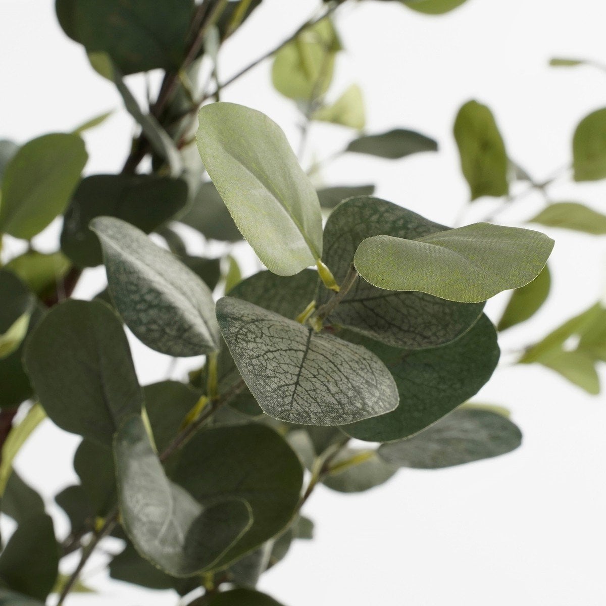 Kunstplant  Groen
