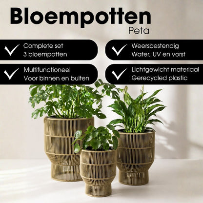Bloempot buiten Peta Groen