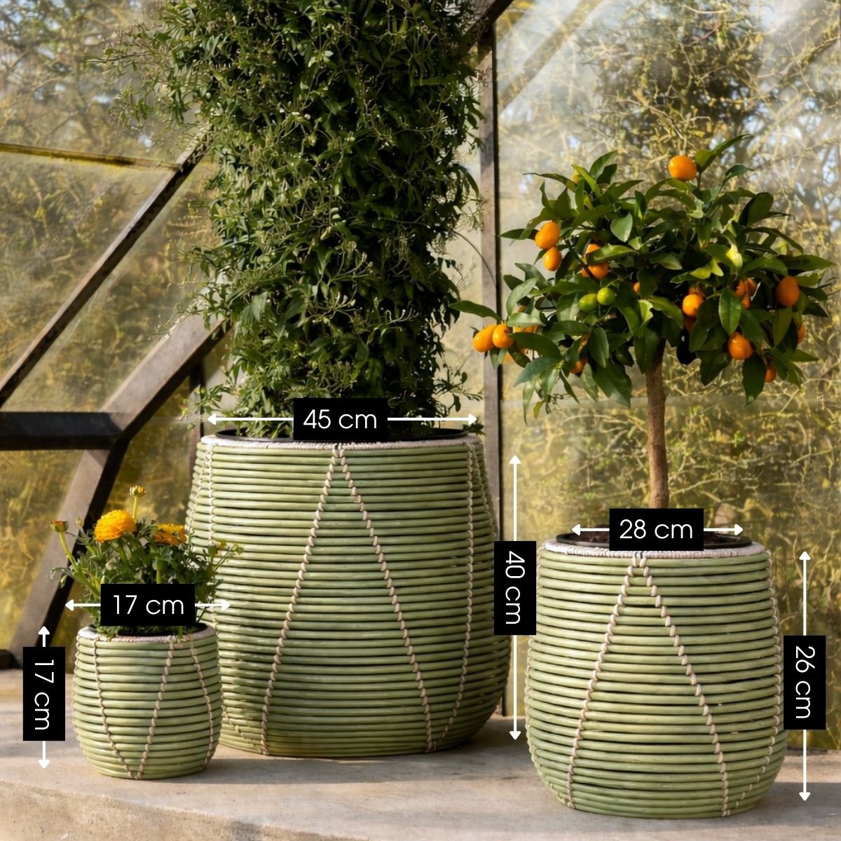 Bloempot buiten Cancun Lichtgroen