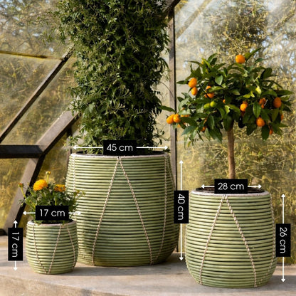 Bloempot buiten Cancun Lichtgroen