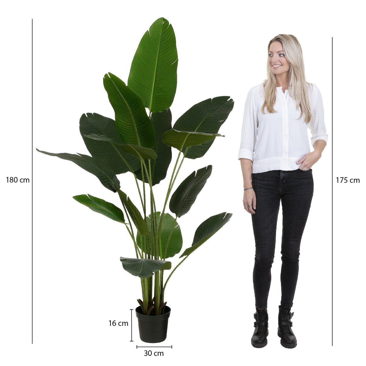Kunstplant  Groen