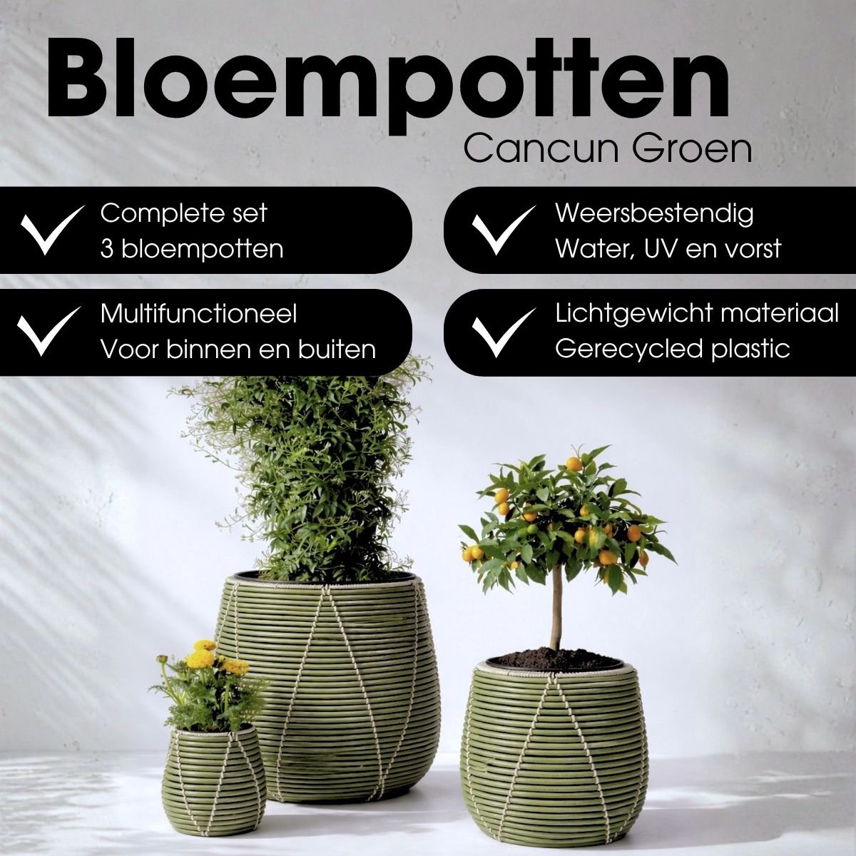Bloempot buiten Cancun Lichtgroen