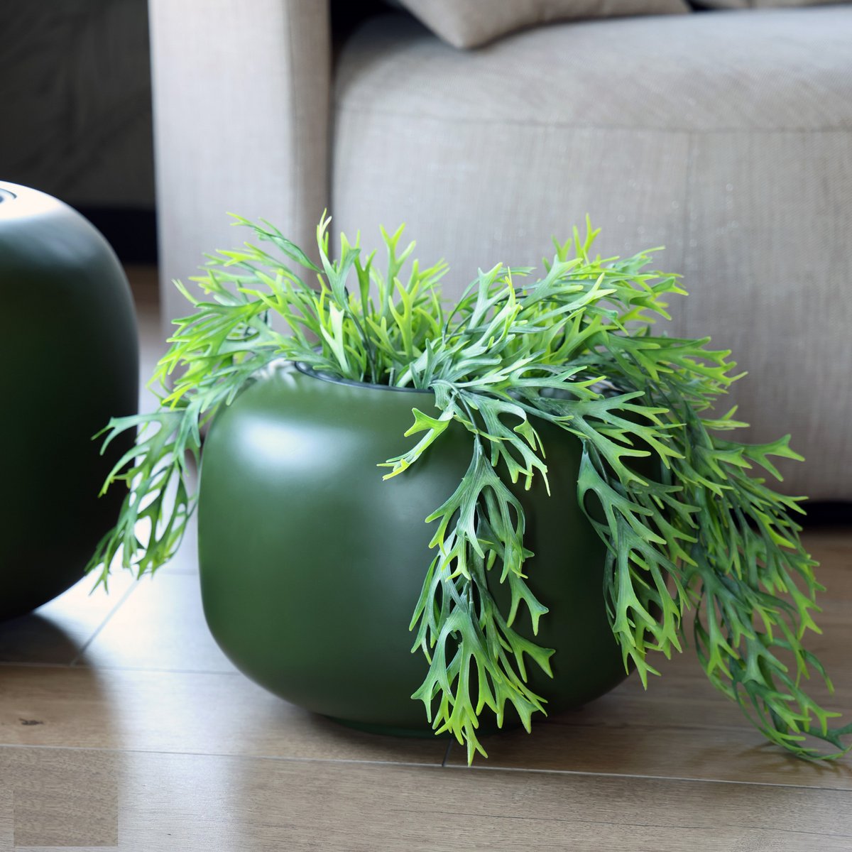 Plantenpot - Phuket green