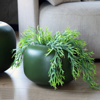 Plantenpot - Phuket green